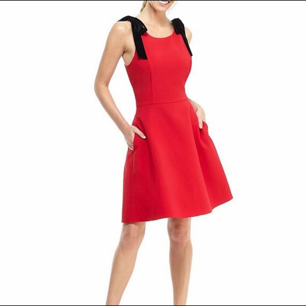 Gal Meets Glam Zara Dress